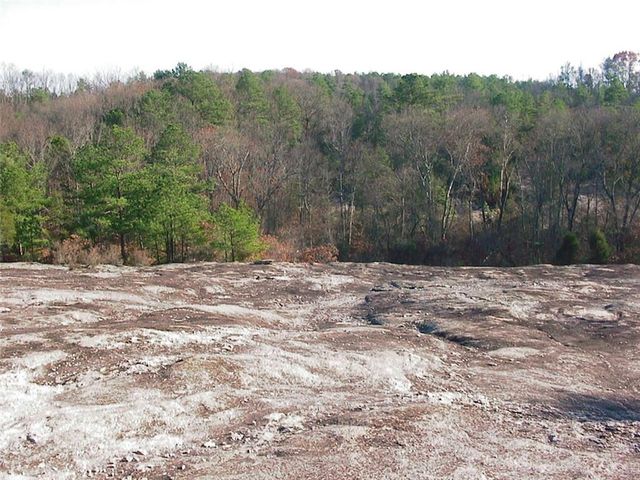 0000 Rabbit Farm Road, Loganville, GA 30052