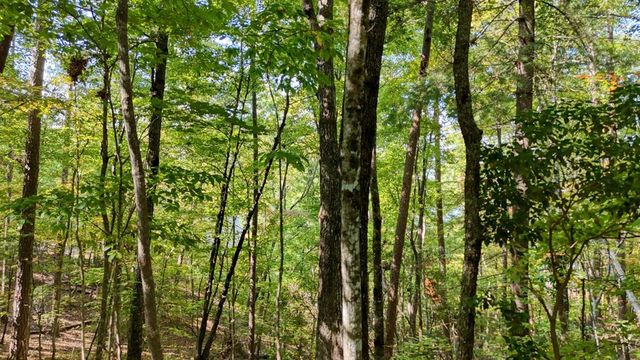 .76 Acre Charlotte Circle, Blue Ridge, GA 30560