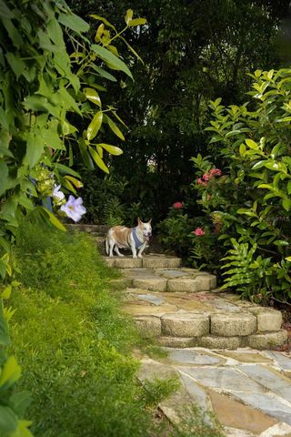 4 DORADO BEACH EAST, Dorado, PR 00646