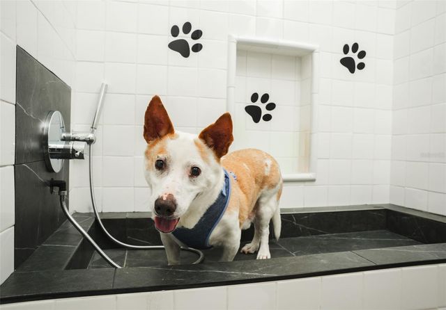 4 DORADO BEACH EAST, Dorado, PR 00646