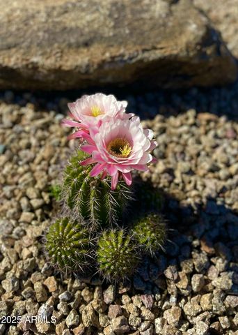 2049 E GAFFNEY Road, New River, AZ 85087