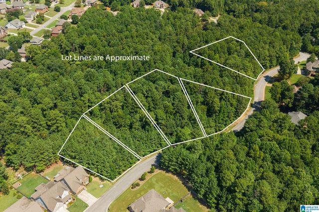 1060 OVERLOOK DRIVE, Trussville, AL 35173