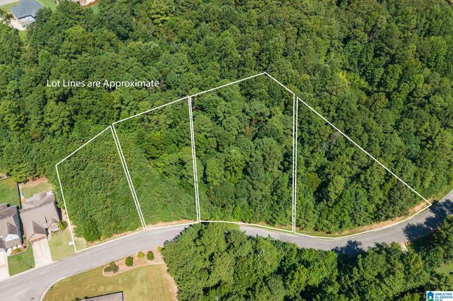 1060 OVERLOOK DRIVE, Trussville, AL 35173