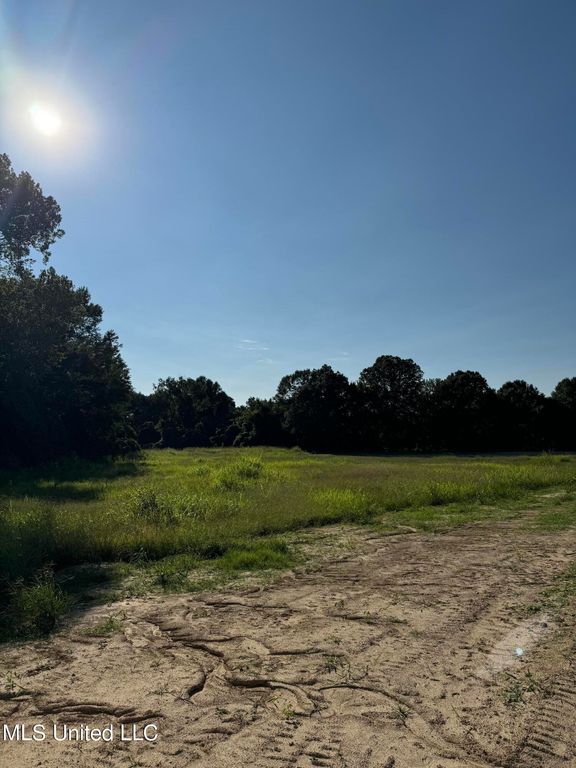 Holly Springs Road, Hernando, MS 38632 — photo 3