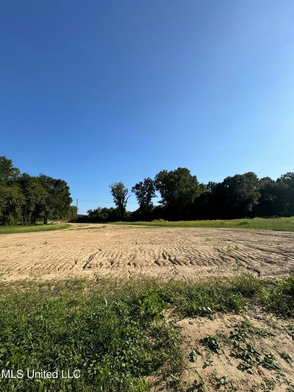 Holly Springs Road, Hernando, MS 38632 — photo 4