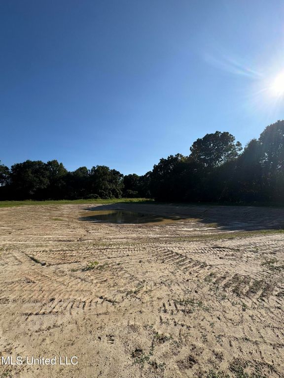 Holly Springs Road, Hernando, MS 38632 — photo 5
