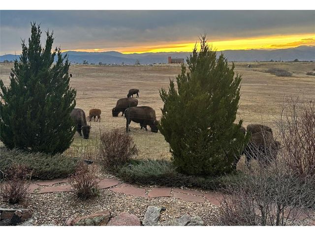 5764 Amber Ridge Dr, Castle Pines, CO 80108