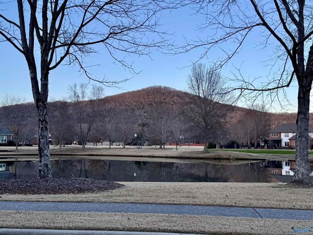 2316 Little Cove Road, Owens Cross Roads, AL 35763