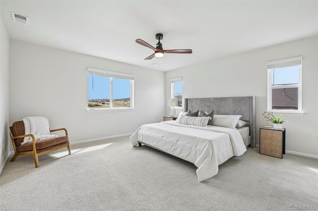 6688 Leilani Drive, Castle Rock, CO 80108