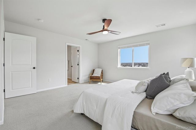 6688 Leilani Drive, Castle Rock, CO 80108