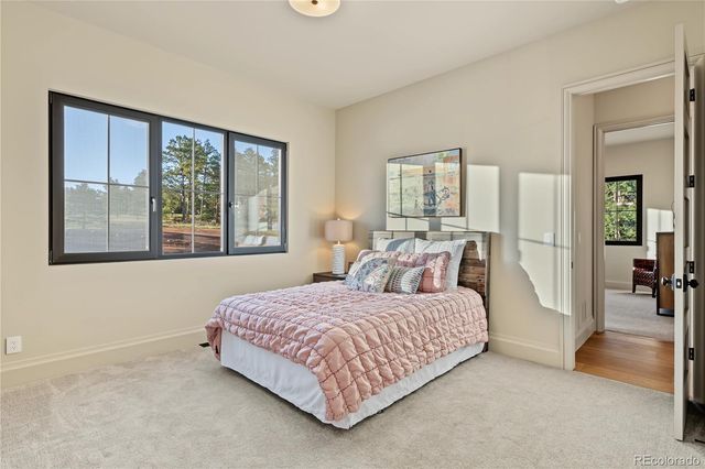 10593 Alamar Way, Colorado Springs, CO 80908