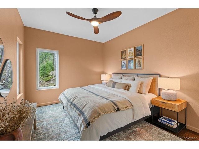6798 Berry Bush Ln, Evergreen, CO 80439