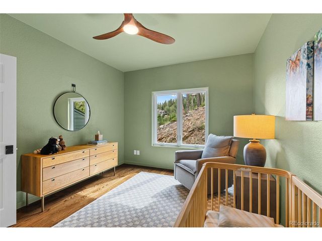 6798 Berry Bush Ln, Evergreen, CO 80439