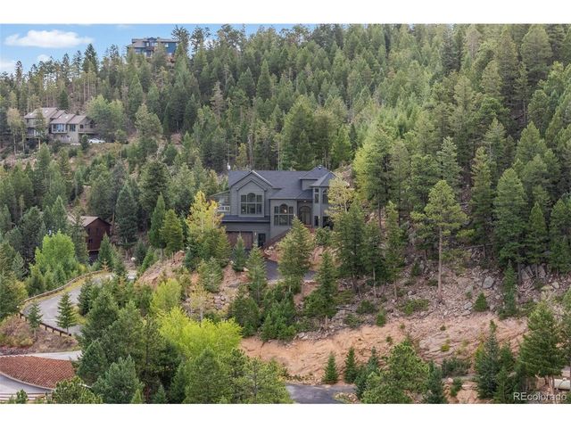 6798 Berry Bush Ln, Evergreen, CO 80439