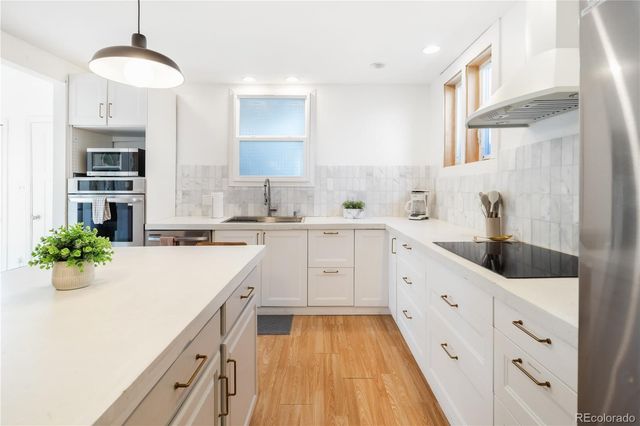 217 E 8th Street, Leadville, CO 80461