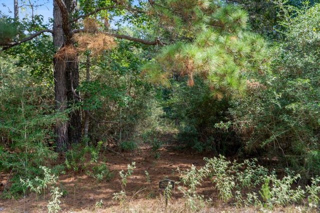 37432 Club house Lane, Montgomery, TX 77355