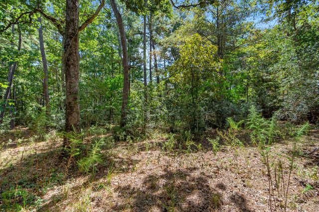 37432 Club house Lane, Montgomery, TX 77355
