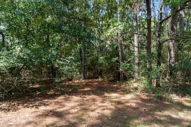 37432 Club house Lane, Montgomery, TX 77355