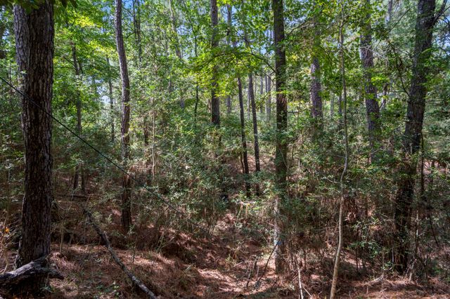 37432 Club house Lane, Montgomery, TX 77355