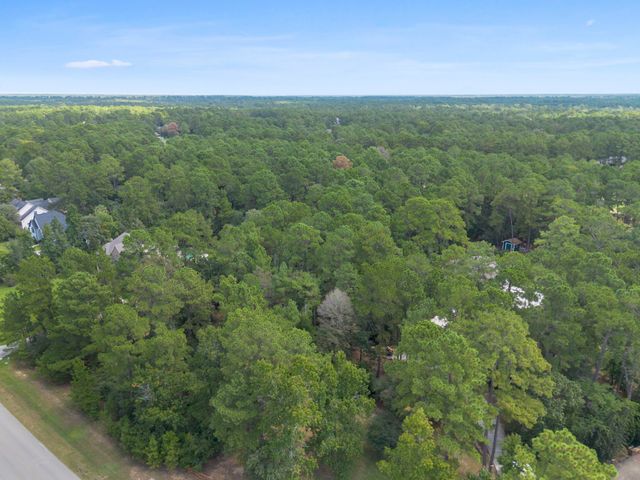 37432 Club house Lane, Montgomery, TX 77355