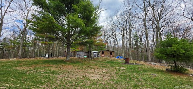 125 Woods Road, Barryville, NY 12719