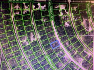 358 WILDWOOD DR, Lake Placid, FL 33852