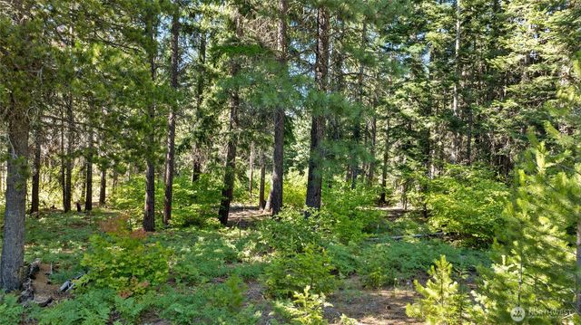 131 Goat Creek Lane, Cle Elum, WA 98922