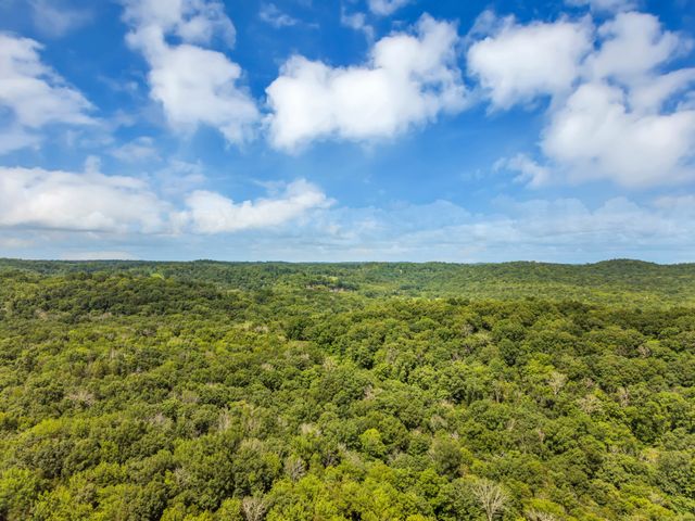 454 Campbell Hollow Rd, Bethpage, TN 37022
