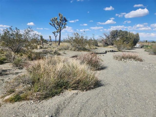 2647 Minero, Pinon Hills, CA 92372
