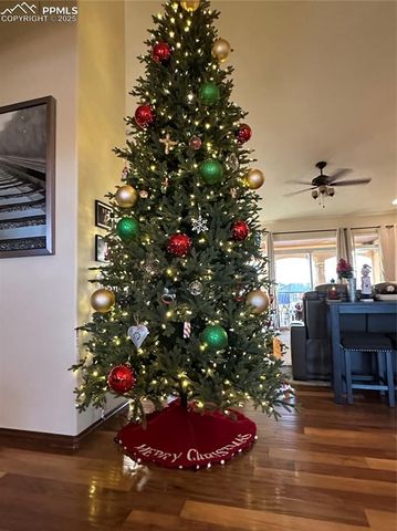 11944 Black Hills Drive, Peyton, CO 80831