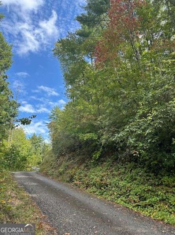 LOT 5 Sequoia Hills Lane 5, Clayton, GA 30525 — photo 2