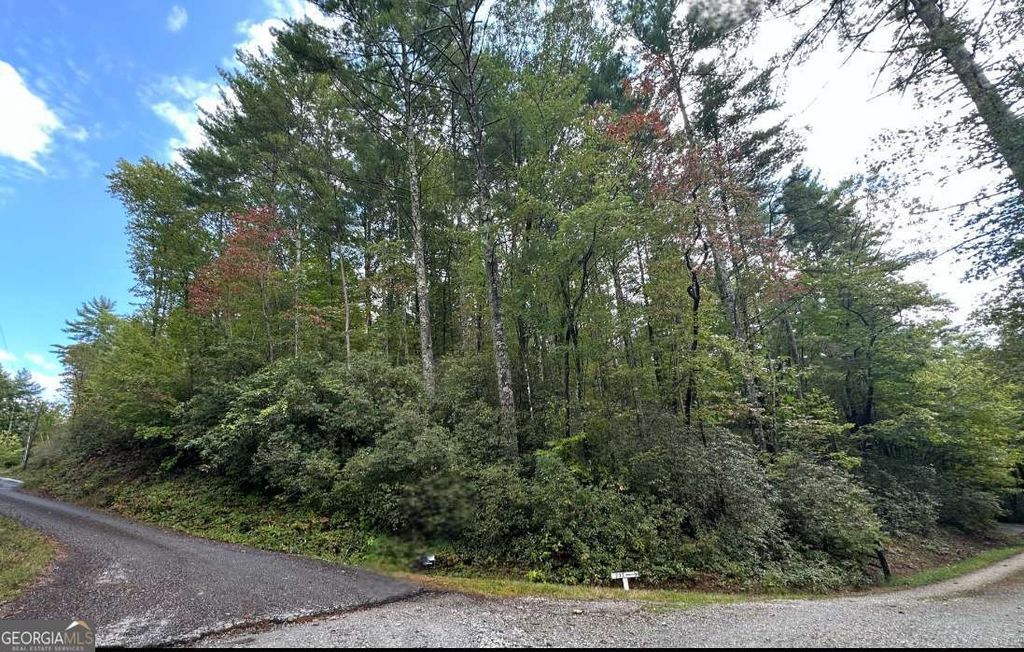 LOT 5 Sequoia Hills Lane 5, Clayton, GA 30525 — photo 3