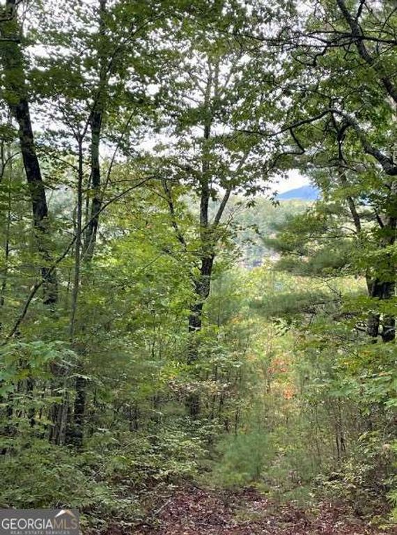 LOT 5 Sequoia Hills Lane 5, Clayton, GA 30525 — photo 5