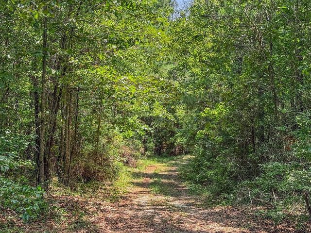 4154 Hwy 131, Clayton, AL 36016