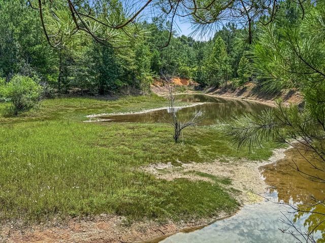 4154 Hwy 131, Clayton, AL 36016