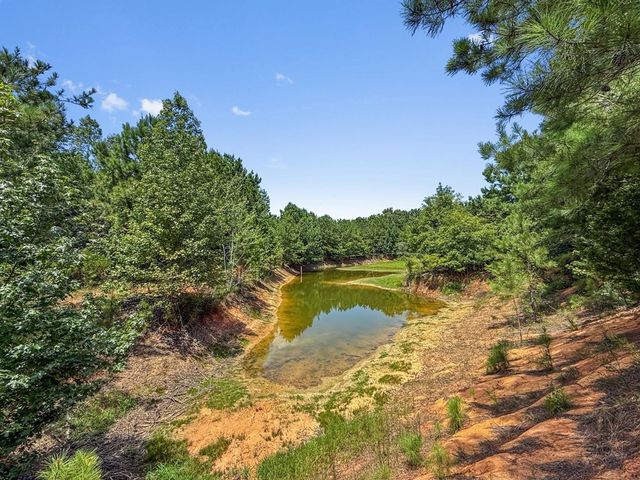 4154 Hwy 131, Clayton, AL 36016