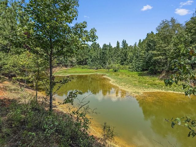 4154 Hwy 131, Clayton, AL 36016