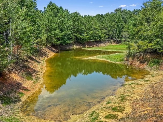 4154 Hwy 131, Clayton, AL 36016