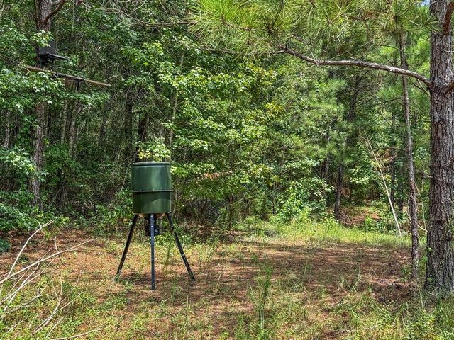 4154 Hwy 131, Clayton, AL 36016