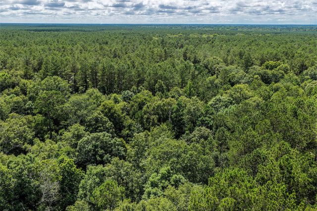 1782 Acres County Line Road, Shepherd, TX 77371