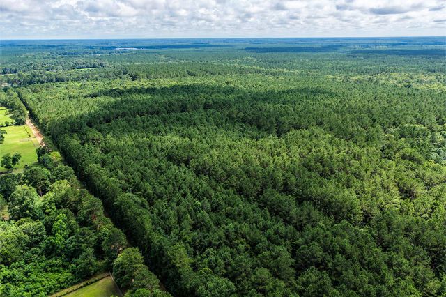 1782 Acres County Line Road, Shepherd, TX 77371