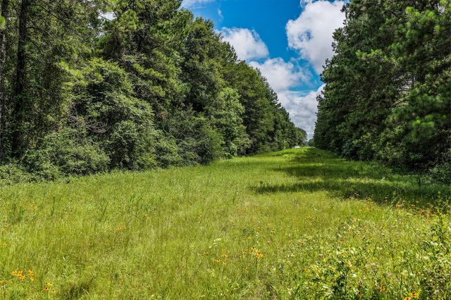 1782 Acres County Line Road, Shepherd, TX 77371