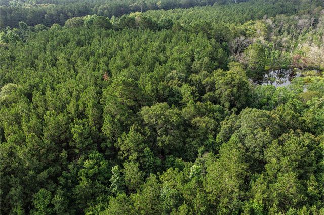 1782 Acres County Line Road, Shepherd, TX 77371