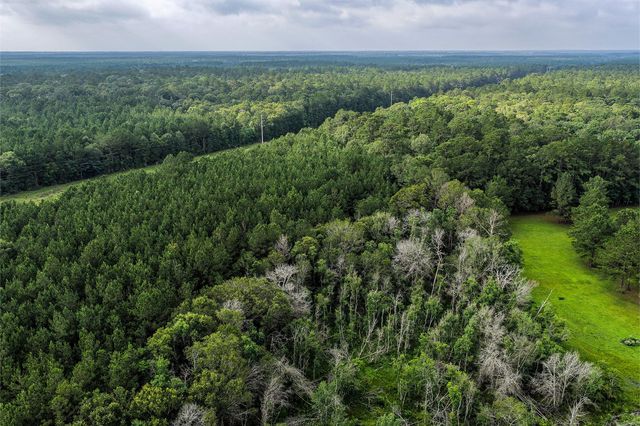 1782 Acres County Line Road, Shepherd, TX 77371