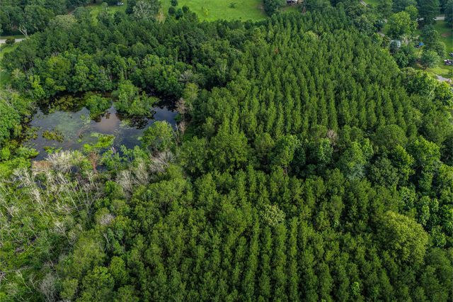1782 Acres County Line Road, Shepherd, TX 77371