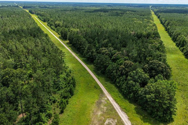 1782 Acres County Line Road, Shepherd, TX 77371