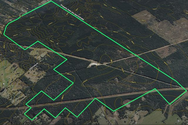 1782 Acres County Line Road, Shepherd, TX 77371