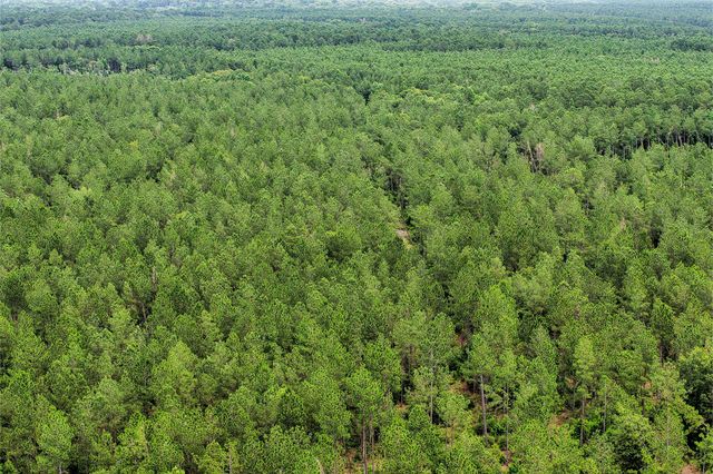 1782 Acres County Line Road, Shepherd, TX 77371