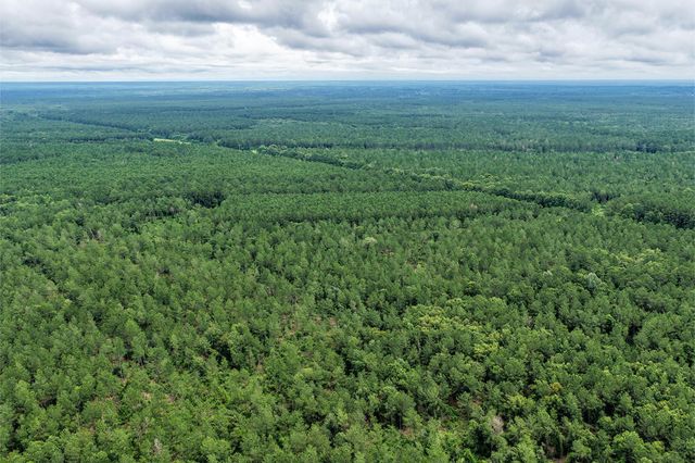 1782 Acres County Line Road, Shepherd, TX 77371