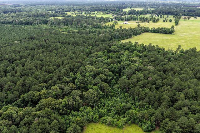 1782 Acres County Line Road, Shepherd, TX 77371